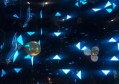 鞋厂学徒招聘文案简短（鞋厂工艺学习员招募公告）