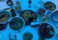 嘉兴汉服摄影文案招聘（嘉兴汉服摄影创意团队招募）